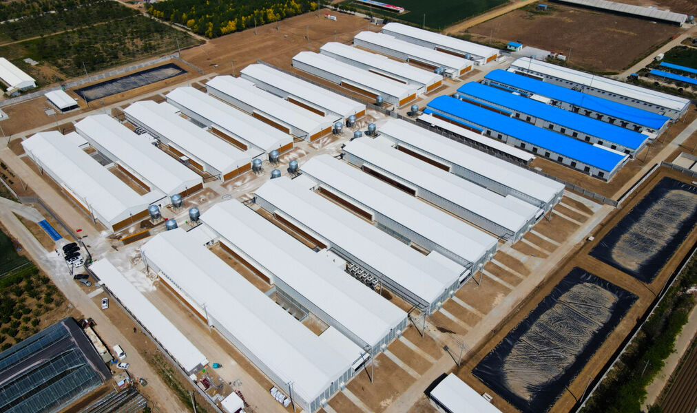 Qingdao KXD Steel Structure Co., Ltd