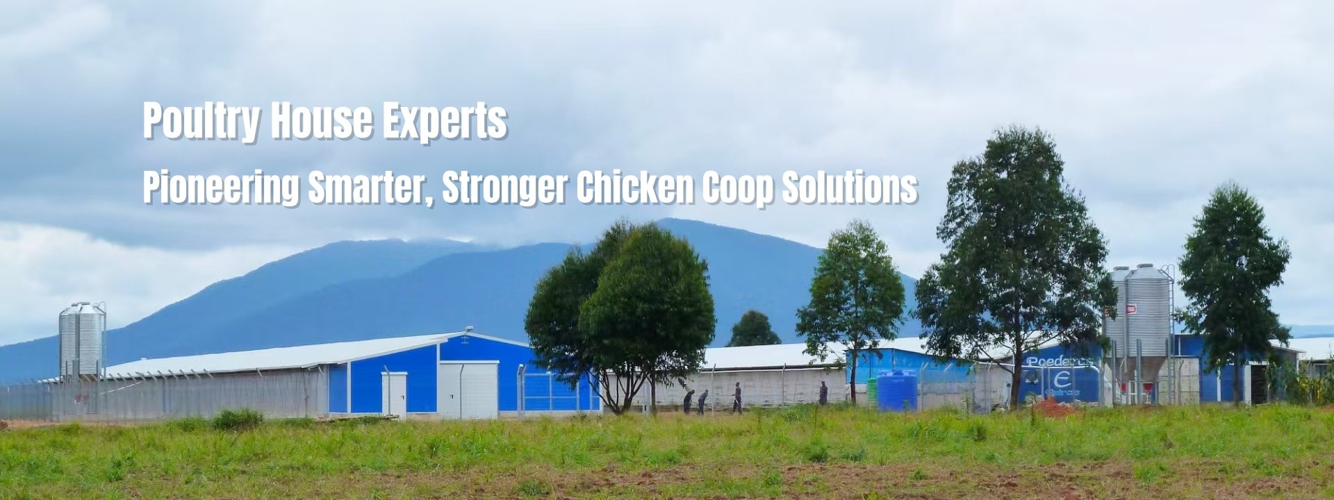 Quality Steel Poultry House factory