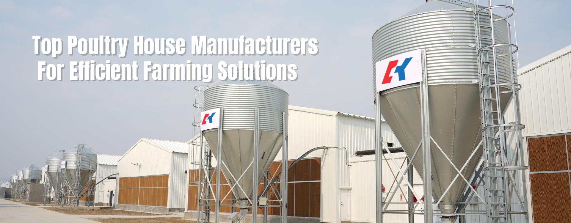 Quality Steel Poultry House factory