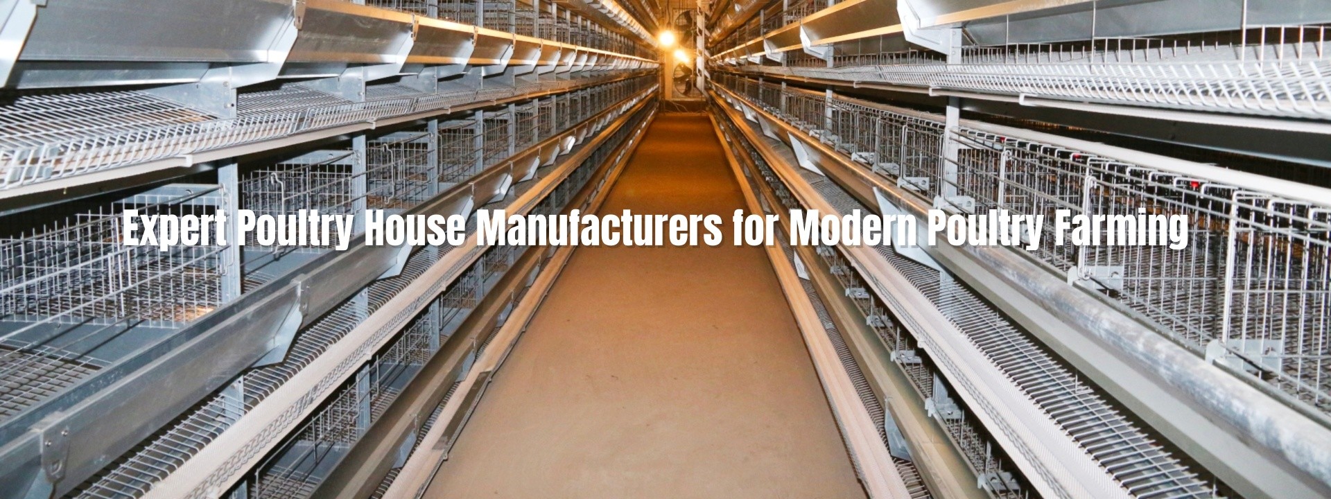 Quality Steel Poultry House factory