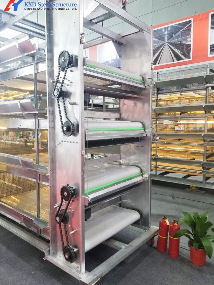 Custom Prefab Layer Chicken House Structures , Automatic Layer Poultry ...