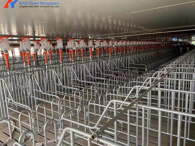 Piggery Line Plastic Pig Dry Wet Feeder Automatic Dry And Wet Feeder Piggery Equipment