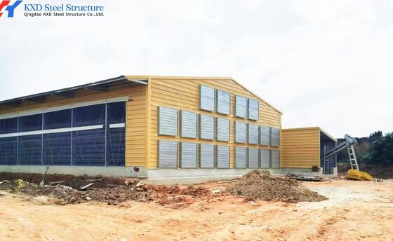 Steel Structure Poultry House Broiler Shed with Automatic Equipment
