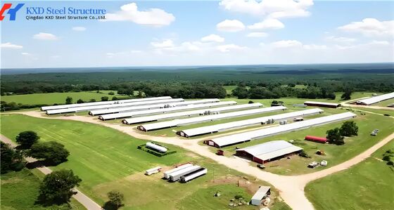 Broiler Poultry Prefab Houses Steel Structure Fully Automated Chicken Farming Equipment