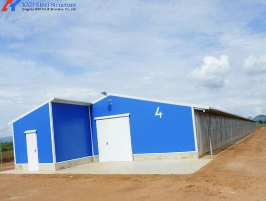 Onsite Installation Steel Poultry House Galvanized For Raising Chicken
