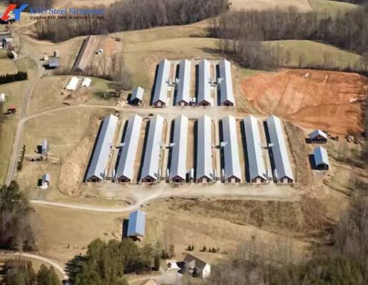 Hen Farm Structure Custom Prefab Layer Chicken House Structures , Automatic Layer Poultry ...