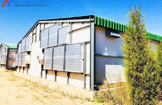 Custom Prefab Layer Chicken House Structures , Automatic Layer Poultry ...