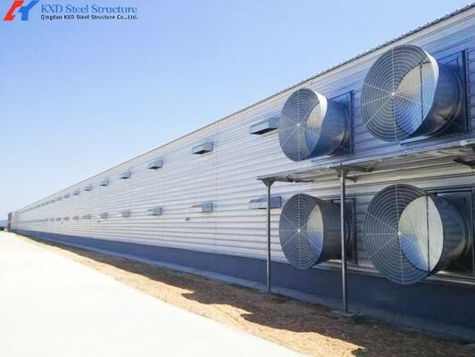 Modern Poultry Farm Chicken Farm Steel Structure Building Light Steel Structure Poultry House