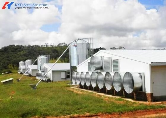 Prefab Steel Structure Chicken Building Shed Broiler Fatten Poultry Farm House