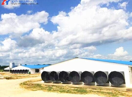 Modern Poultry Farm Chicken Farm Steel Structure Building Light Steel Structure Poultry House