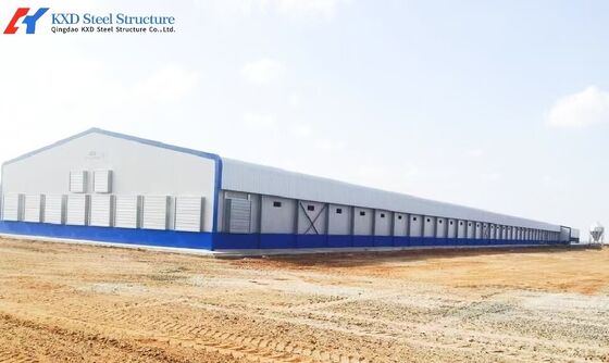 Easy Clean Steel Poultry House Layer Hen House Steel Structure Chicken Broiler Shed