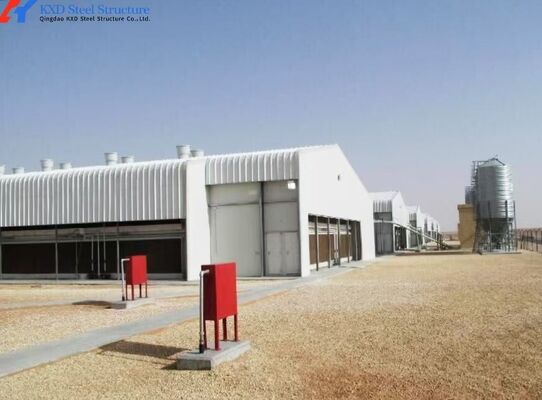 KXD Prefab Steel Frame Metal Building Q345 Q235 Steel Poultry Shed