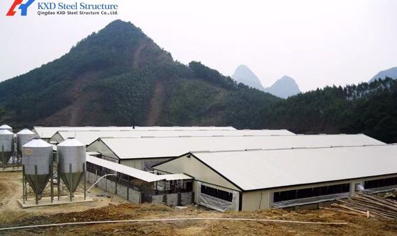 Prefabricated Light Weight Steel Structure Chicken House Shed ISO9001 CE Certification