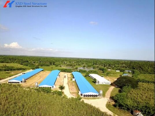 Prefab Steel Structure Poultry House Chicken House Farming Shed Design House Farm