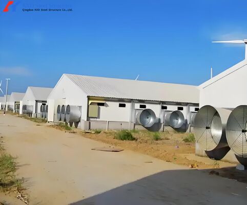 Steel Structure Poultry House with Cage Feeding System for Layers & Broilers