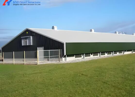 30000 Poultry Complete Large Broilers Chicken Shed Automatic Chicken House Feeding Drinking Plant