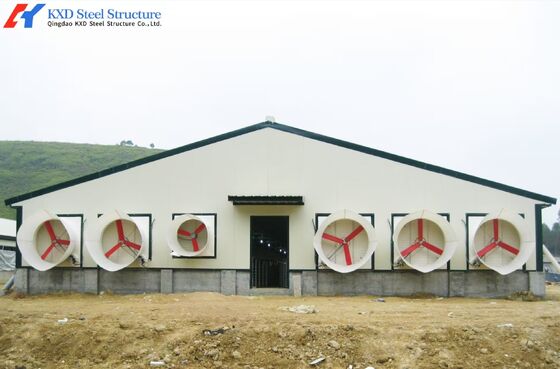 Steel Structure Chicken House Feeding System for Broiler Chicken Shed