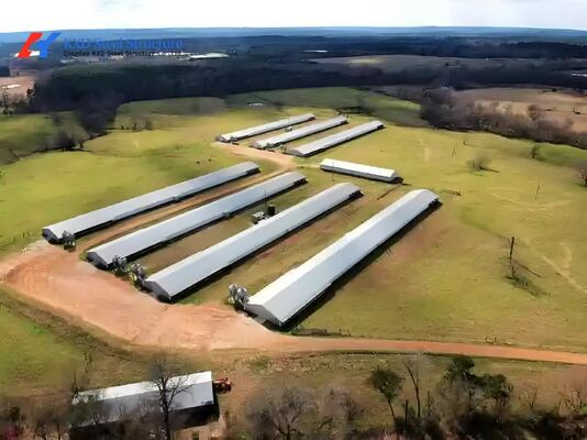 Steel Structure Plant Warehouse Poultry House Commercial Building Steel Structure