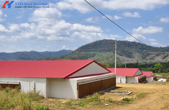 Commercial Poultry House Steel Structure Chicken Farm House