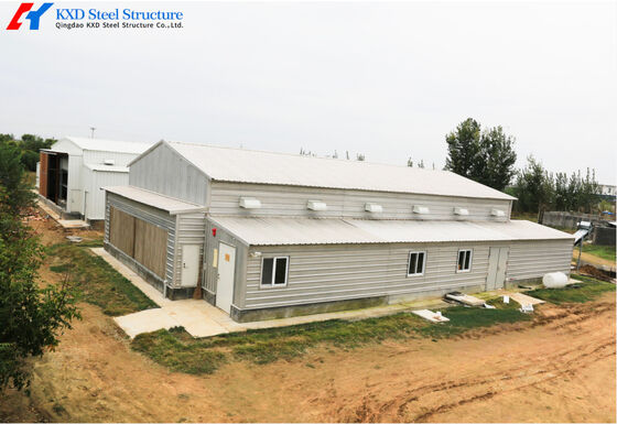 Large Steel Structure Poultry Birds Chicken Farming Breeder Shed Building