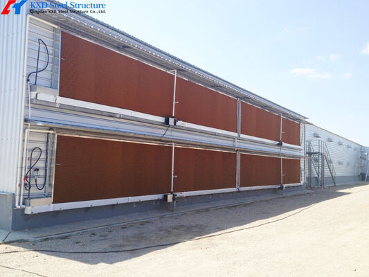 Prefabricated Steel Structure Broiler Poultry House Close House Chicken Farm