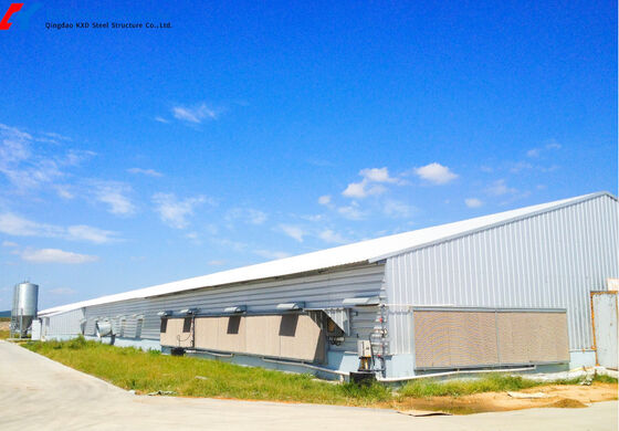 Farming Animal Husbandry Greenhouse Chicken Greenhouse Poultry Breeding Greenhouse For Chicken