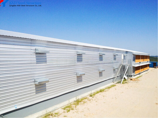 Customized Automatic Chicken House Steel Structure Poultry Farming House
