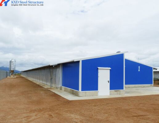 Complete Controlled Poultry Shed Prefabricated Steel Structure Chicken House for Farm Building