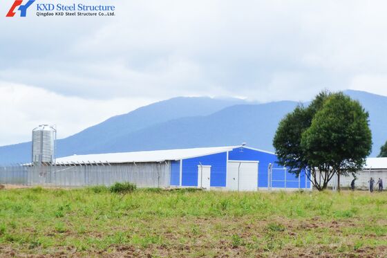 Q345 Q235 Steel Poultry House Onsite Installation With Automatic Equipment