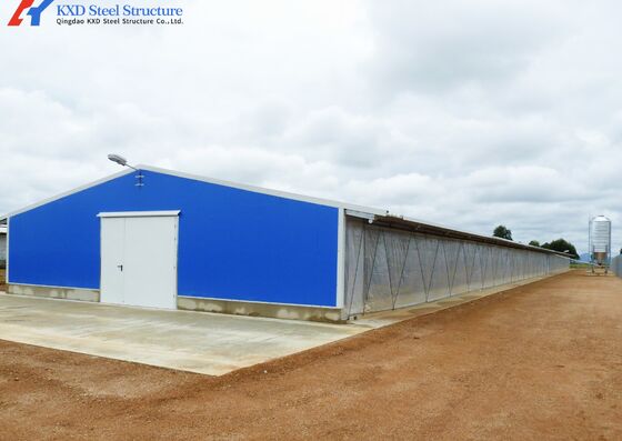 H Section Steel Poultry House Chicken Farm House Building
