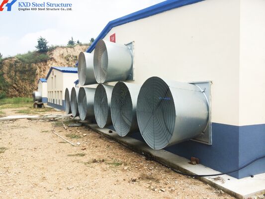 Broiler Poultry Prefab Houses Steel Structure Fully Automated Chicken Farming Equipment