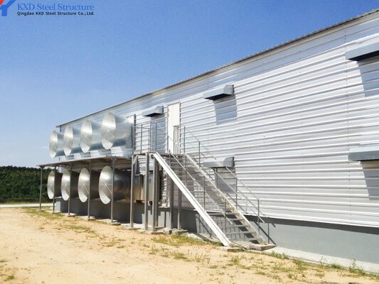 Fabricated Prefabricated Barn Poultry Chicken Steel Structure Farm Animal House