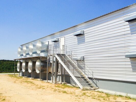 Automatic Broiler Poultry Farm Shed Prefabricated Warehouse Buildings In Steel
