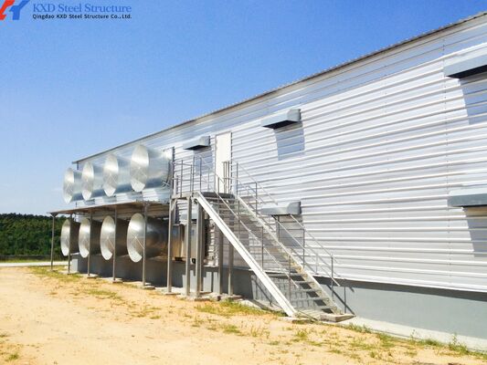 Modern Modern Prefabricated Steel Structure Poultry House Customized