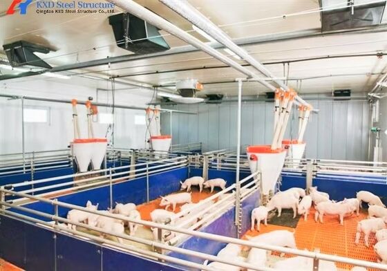 Prefabricated Steel Frame Piggery House , Steel Structure Hog Shed