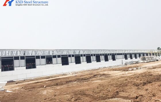 Insulation Fireproof Piggery Shed   Poultry Farm Shed Building