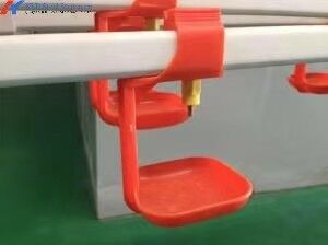 Fully Automatic Poultry Drinker , Broiler Chicken Drinker Customized