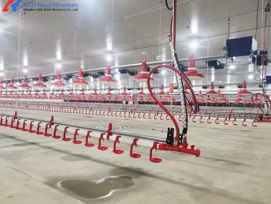 OEM ODM Broiler Poultry Equipment Customized Broiler Pan Feeder