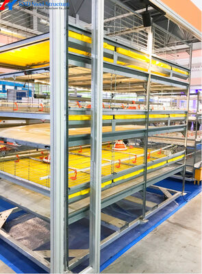 A Type H Type Battery Cage Automatic Feeding System For Broiler Poultry Farming