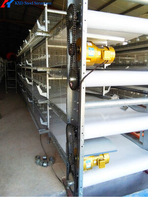 Chicken Automatic Manure Cleaning System Of Poultry House Cage Feeding