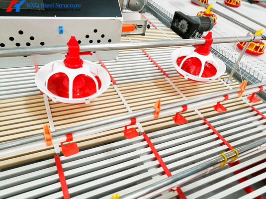 KXD Automatic Poultry Breeding Equipment Chicken House Feeding Line