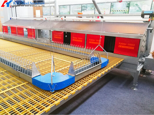 Steel Poultry House Equipment Automatic Customized Broiler Feeding System
