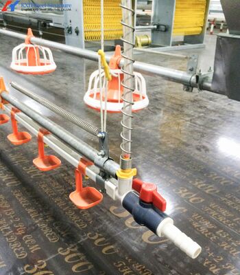 Customized Steel Chicken Farm , Light Steel Frame Farm Buildings