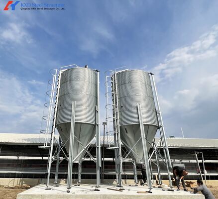 Poultry Farm Chicken Feeding Line Automatic Poultry Pan Feeding System