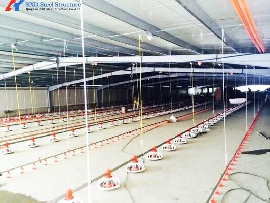 Automatic Broiler Poultry Equipment Plastic Poultry Farm Feeding System