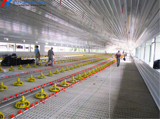 Feed Pan System for Broilers Steel Poultry House Automatic Livestock Equipment