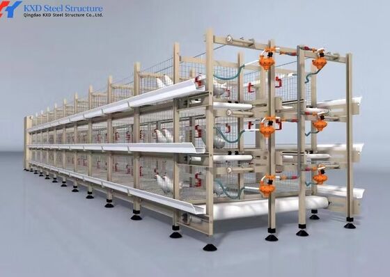 A Type Galvanized Laying Hen Cages Automated Layer Poultry Cage