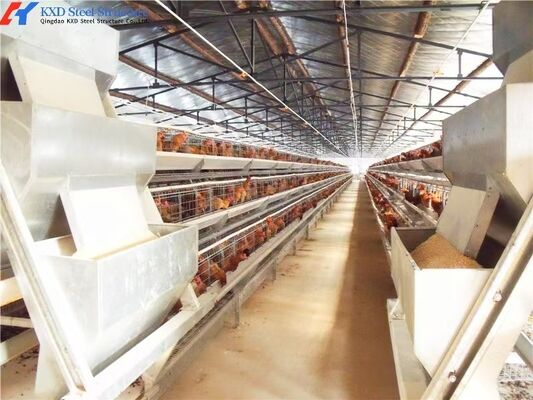A Type Battery Layer Cage Poultry Farming Cage System With Automatic Feeding Machine