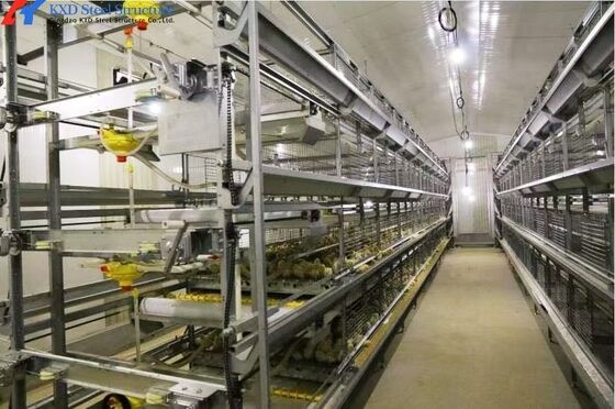 Automatic Poultry Farm Chicken House Feeding Line A Type Layer Chicken Cage Equipment