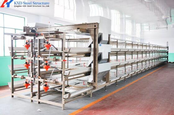 3 Tiers-10 Tiers Poultry Farm Cage Automatic Feeding Chicken House Cage